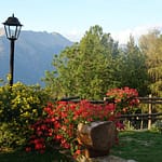 DSC09001