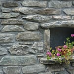 DSC09099